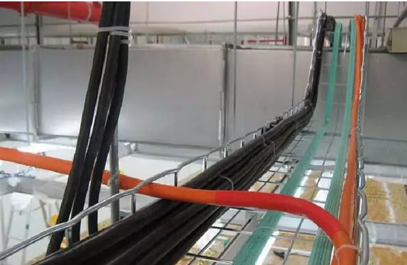 1593995446 1593995446