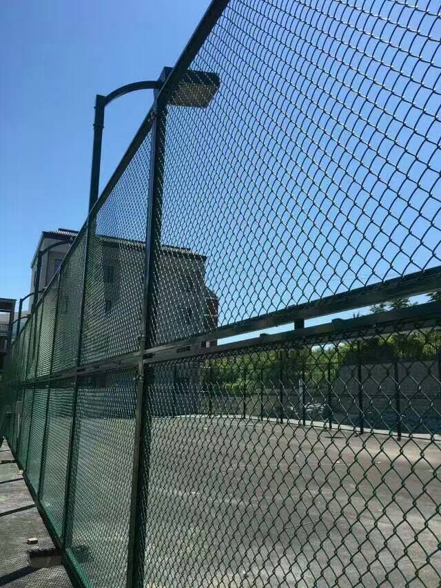 6881646984462.jpg 6881646984462.jpg