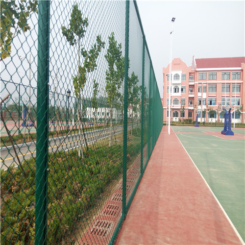 3931664281784.jpg 3931664281784.jpg